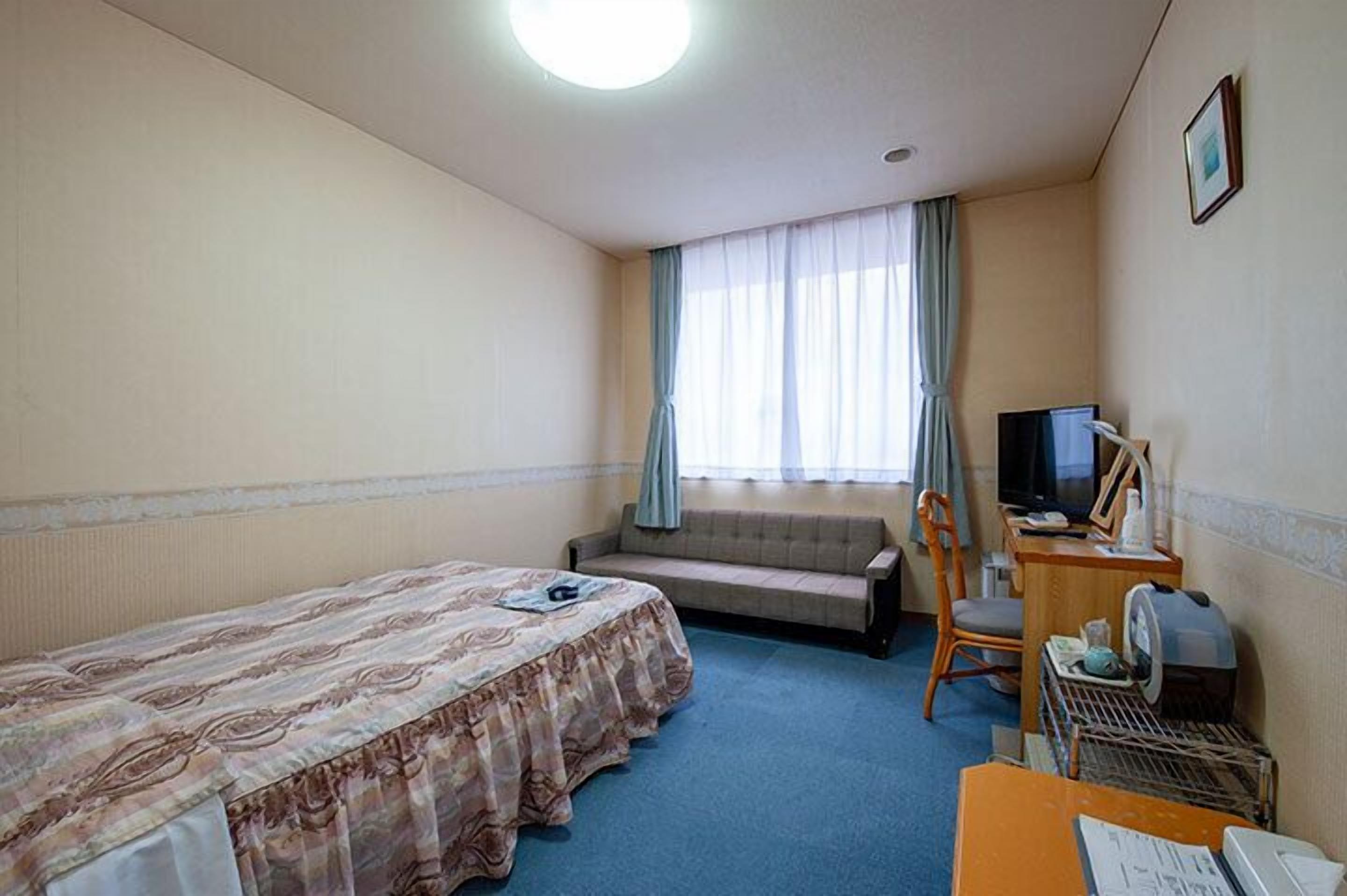 A hotel room with a single bed, a sofa, a desk with a television, and a window with curtains.