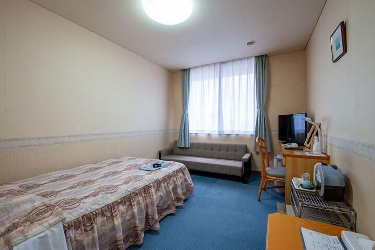 A hotel room with a single bed, a sofa, a desk with a television, and a window with curtains.
