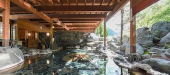 Ashiyasu Onsen Iwazonokan