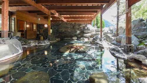 Ashiyasu Onsen Iwazonokan