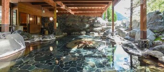 Ashiyasu Onsen Iwazonokan