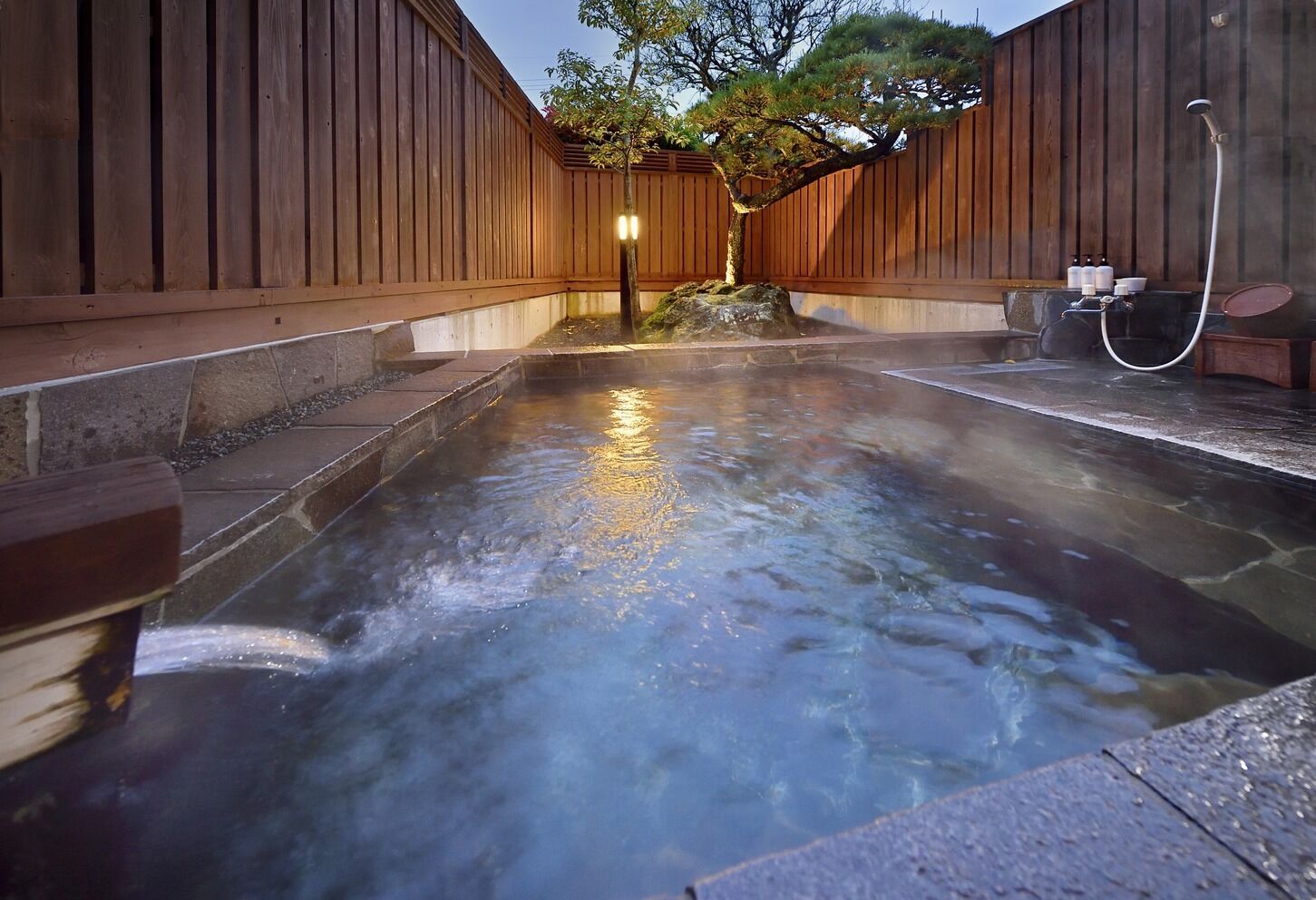 Wellness