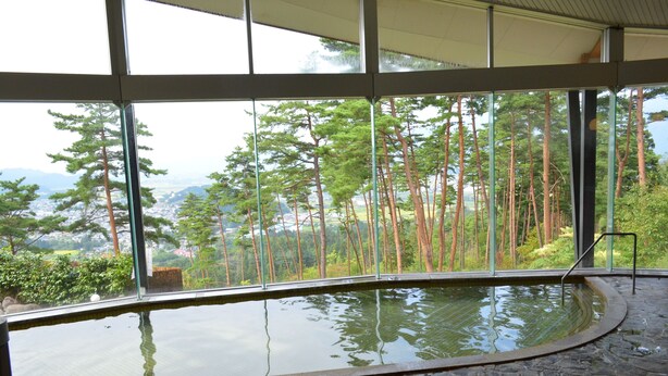 A stone-floored indoor pool with a glass wall offering a view of tall trees and distant mountains.