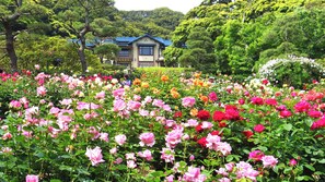 Unclassified image, 3 of 141, button - Kaihinso Kamakura (Kamakura)