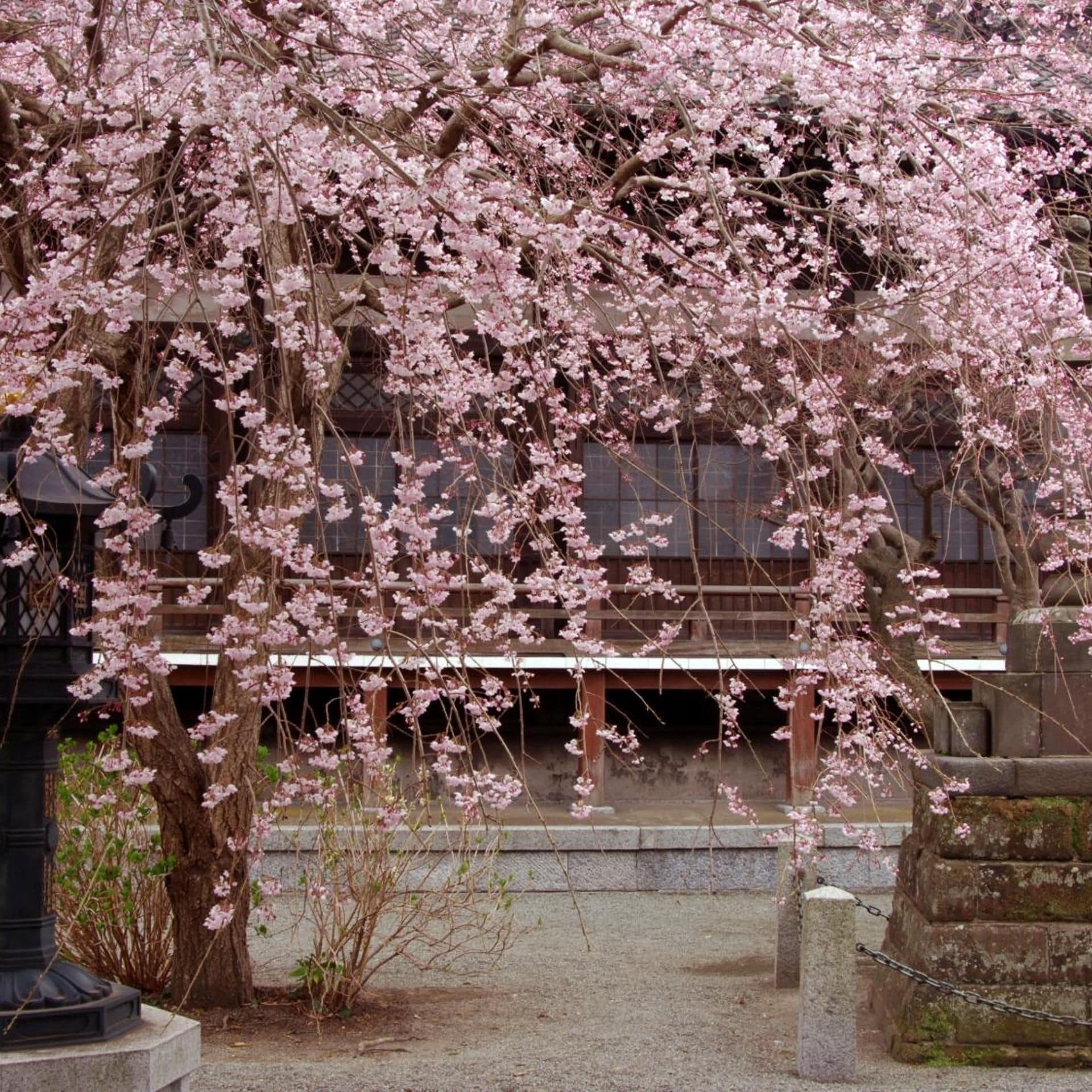 住宿场地