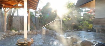 Gonohe Makiba Onsen