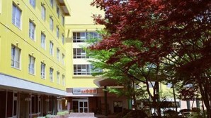 A yellow building with multiple windows and a covered entrance. - Akita Geijutsu Mura Onsen Yupopo (Senboku)