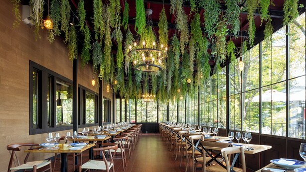 Un restaurante con mesas largas, plantas colgantes y ventanas amplias.