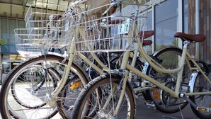 A bicycle with a basket and a seat, parked in front of a building.