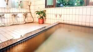 A small, rectangular hot tub with a tiled floor and a granite edge. There are two showerheads and a potted plant on the wall. - Casual Seagull (Nishiizu)