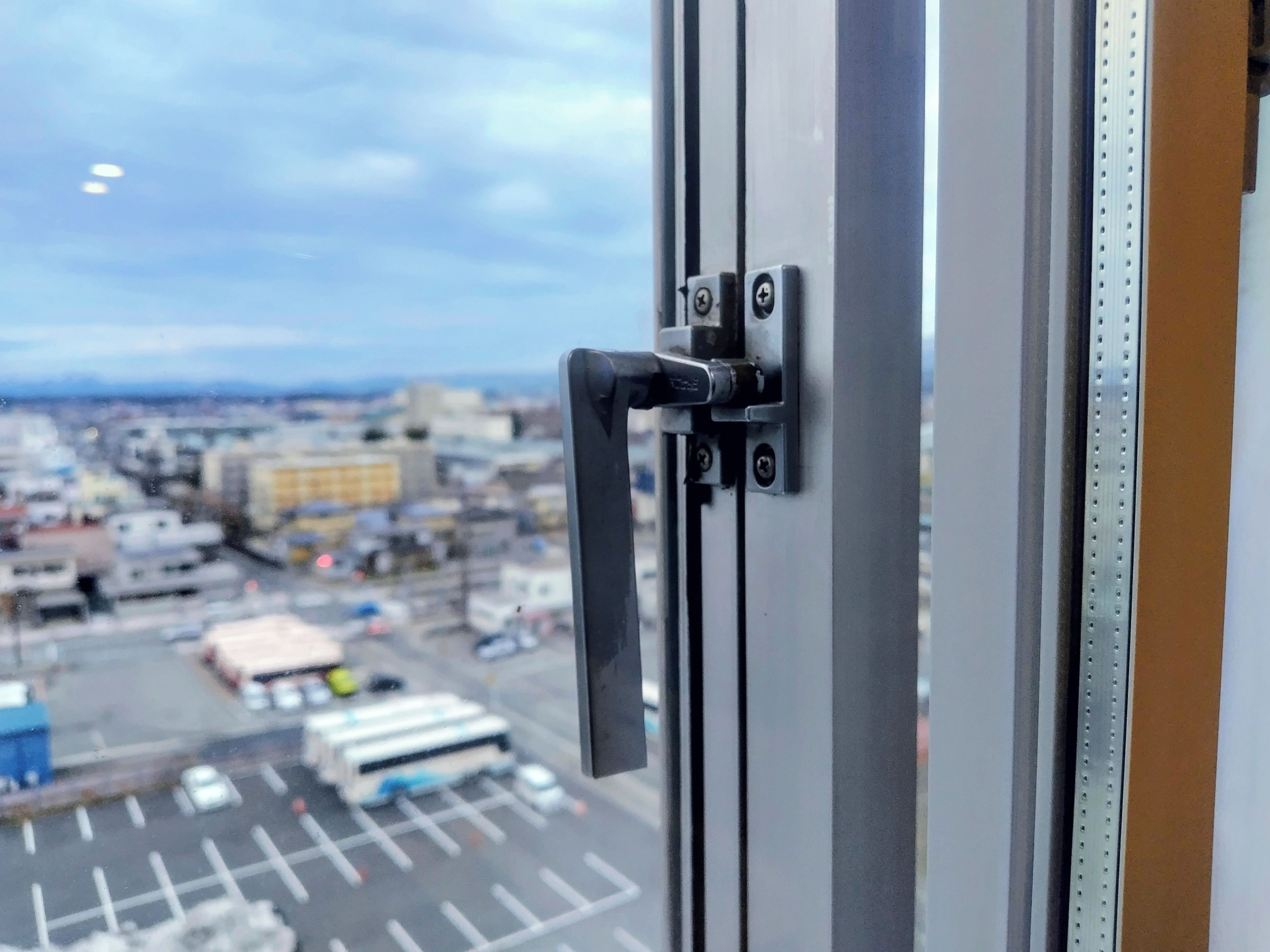 A view through a window with a door handle, a metal latch, and a metal strip.