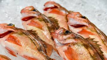 Four fish on ice.