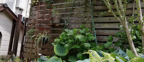 숙박 시설 구내