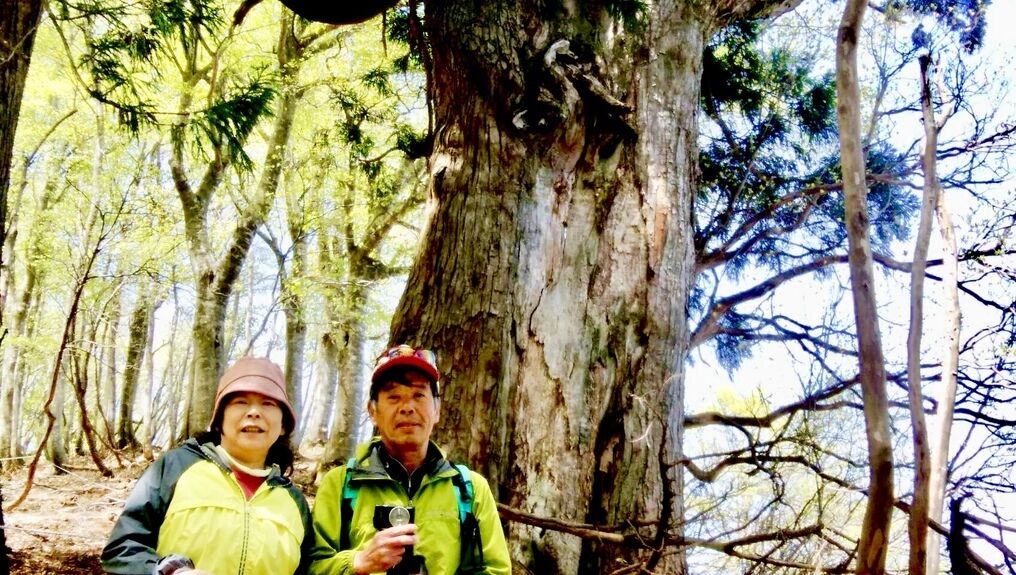 Zwei Personen stehen in einem Wald mit hohen Bäumen und blauem Himmel.
