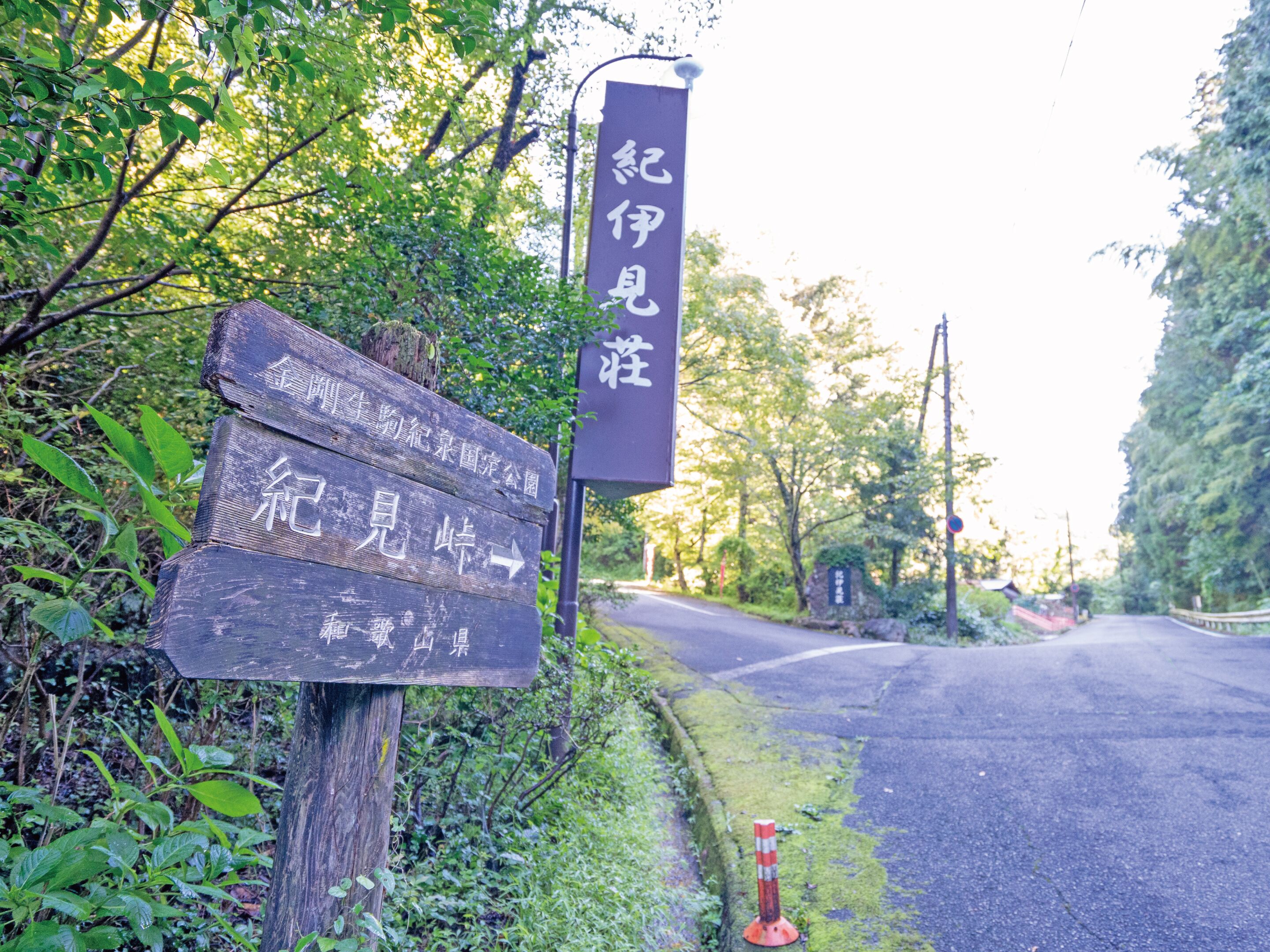 A wooden signpost with multiple directional signs in a natural setting.