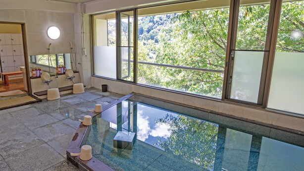Una piscina interior moderna con paredes de vidrio transparente, un banco y vistas a árboles fuera.