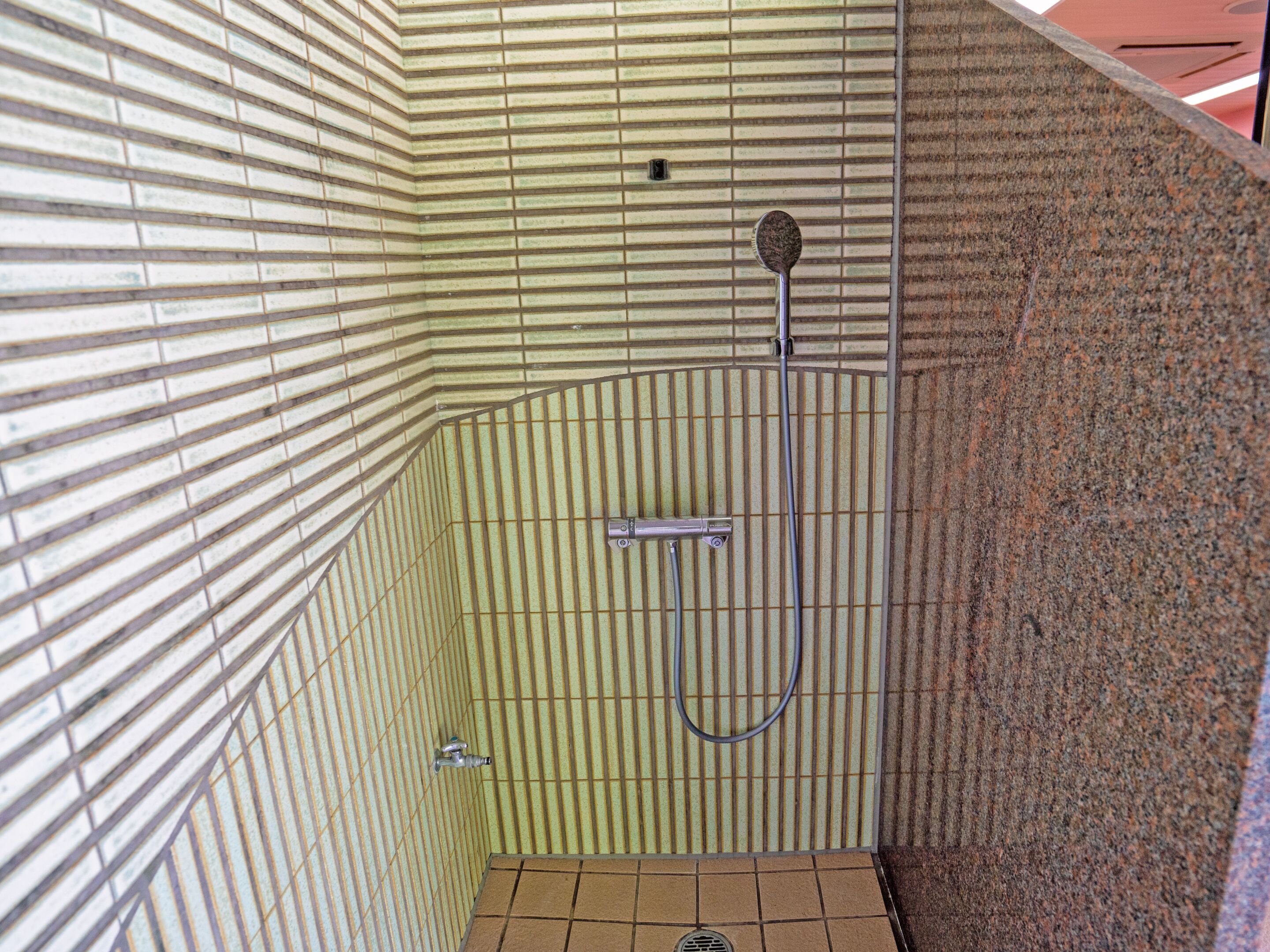 A small, enclosed shower area with a showerhead and a handheld brush.