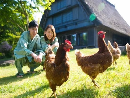 Property grounds. Yufuin Onsen Sanso Shikian