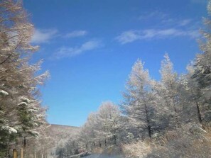 Overnattingsstedets uteområder