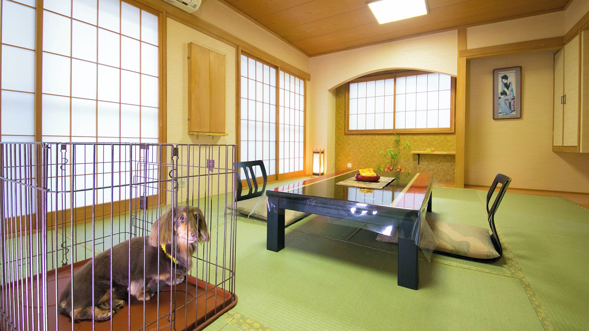 A traditional Japanese room with tatami flooring, a low table, chairs, and a dog in a cage.
