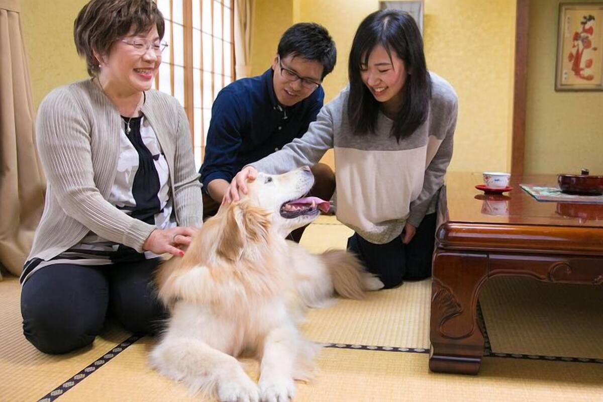 내부