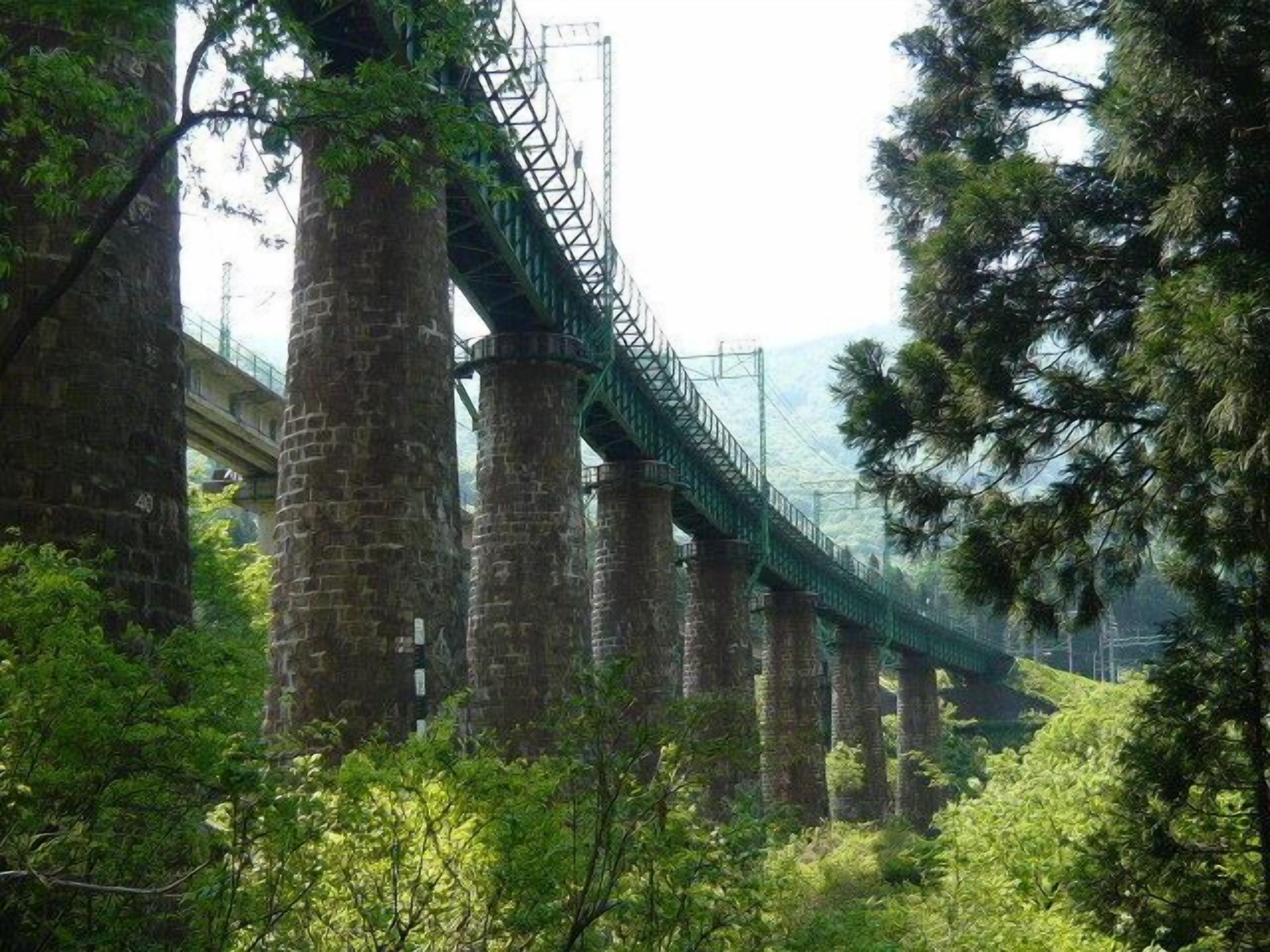 Un pont à piliers multiples, entouré d’arbres et de verdure.