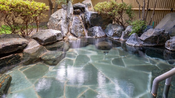 Una fuente poco profunda y transparente rodeada de rocas y vegetación, probablemente parte de un jardín o área al aire libre.