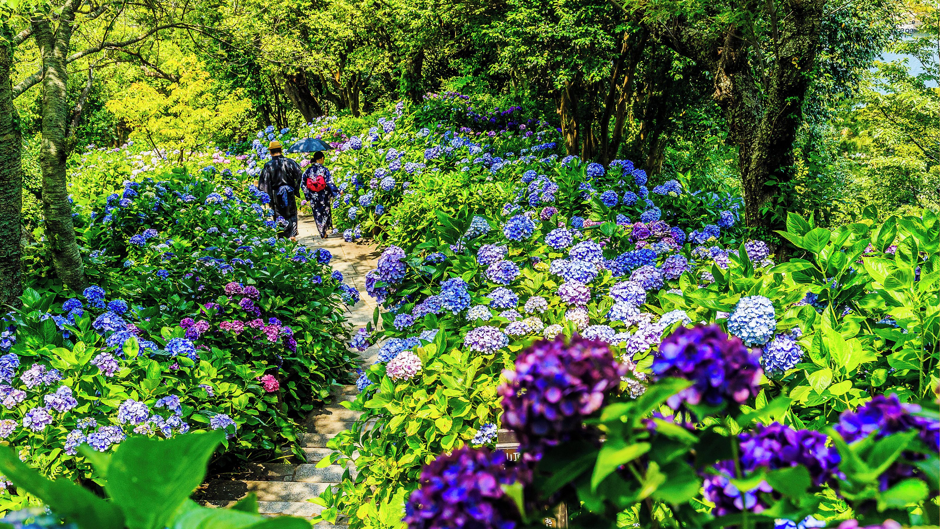 A garden with a stone pathway surrounded by lush greenery and vibrant flowers.