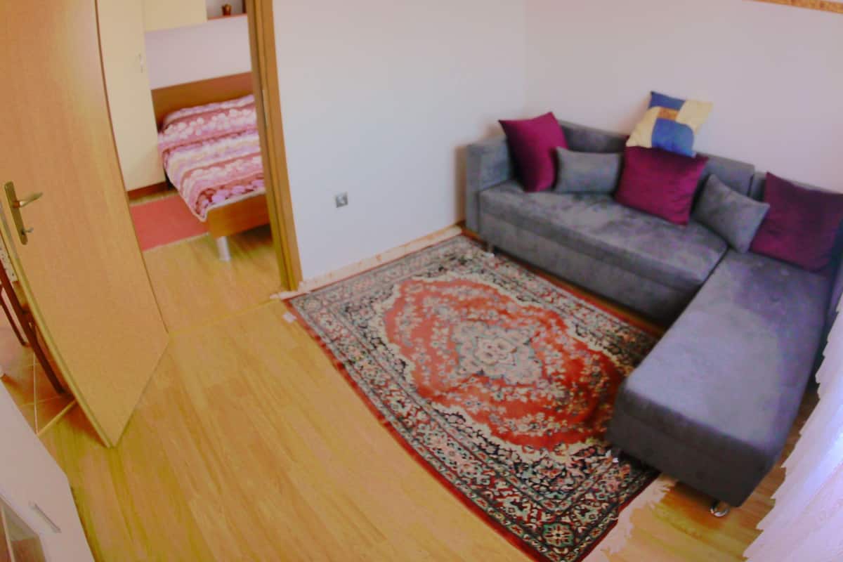 Standard Apartment, 1 Queen Bed with Sofa bed | Interior