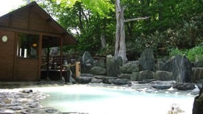 Pool - Noji Onsen Hotel (Fukushima)