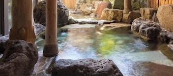 淺蟲溫泉 辰巳館