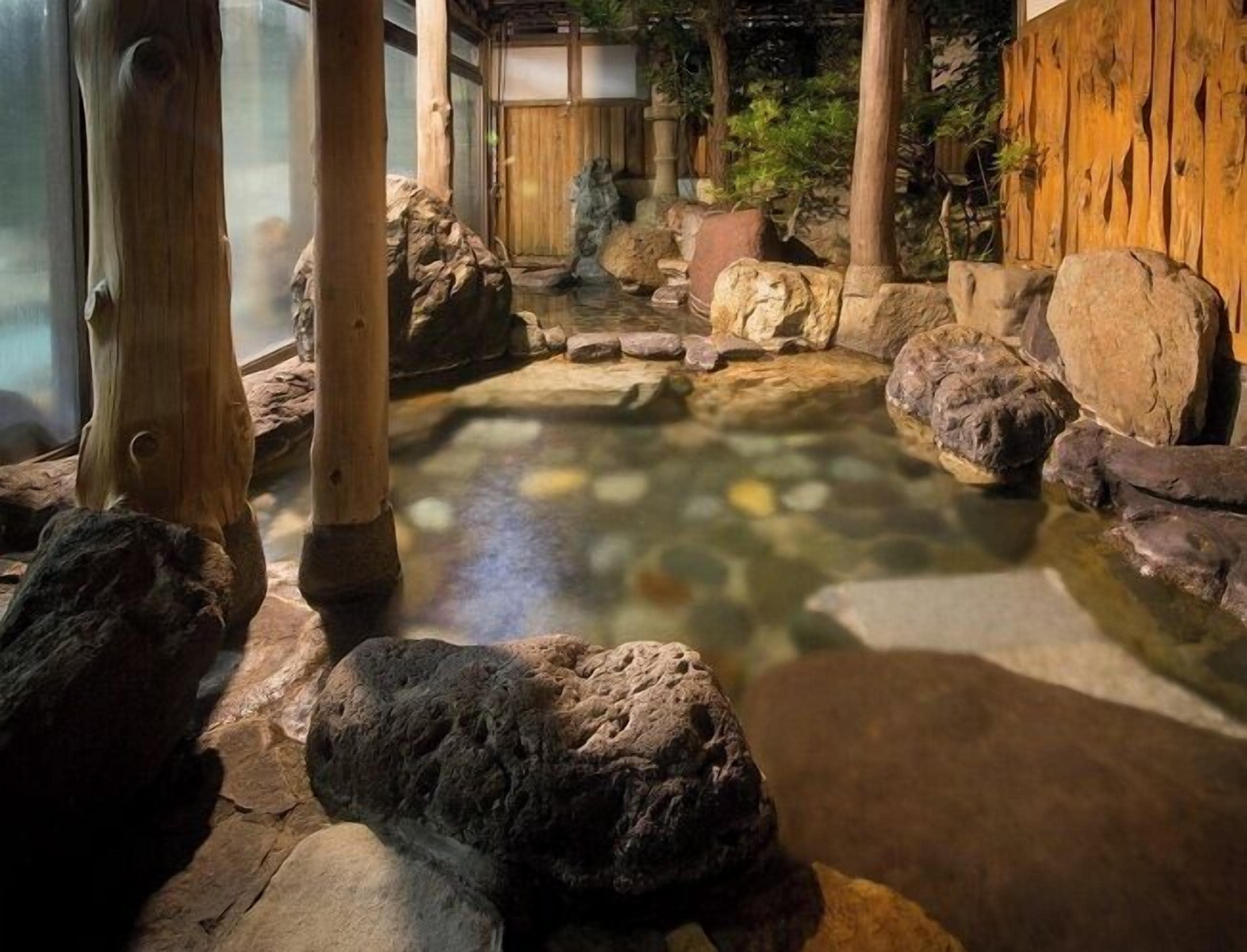 Wellness