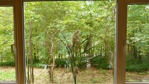 A window with a view of a forested area, a bench, and a green vase on the windowsill. - Forest Lodge Subaru (Teshikaga)