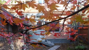 A courtyard with a small water feature, surrounded by wooden walls and autumn leaves. - Forest Lodge Subaru (Teshikaga)