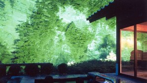 A hot tub area with a view of a forest through a glass wall. - Hotel Silk Villa (Kimitsu)