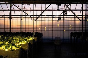 Unclassified image, 3 of 116, button - THE FARM Resort Japan (Katori-shi)