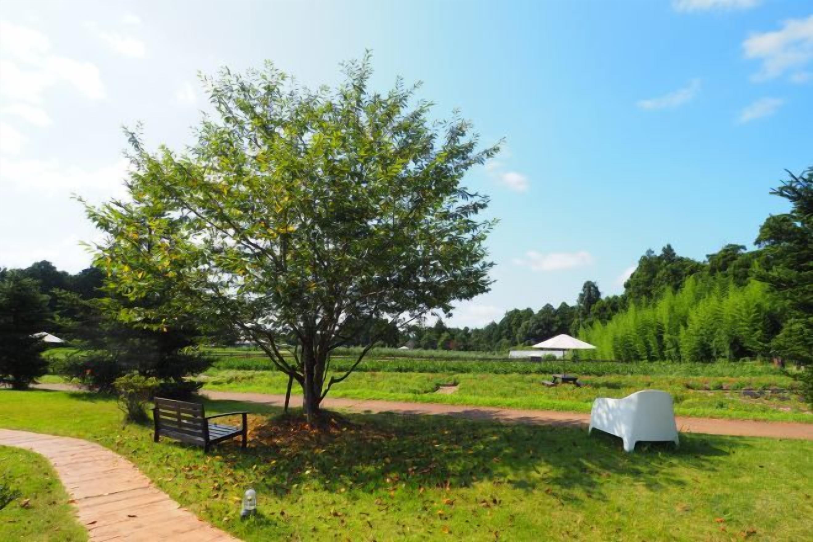A park with a paved walkway, a bench, and a white structure.