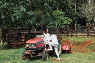 Un tractor rojo con remolque en un campo cubierto de hierba, con una valla de madera al fondo.