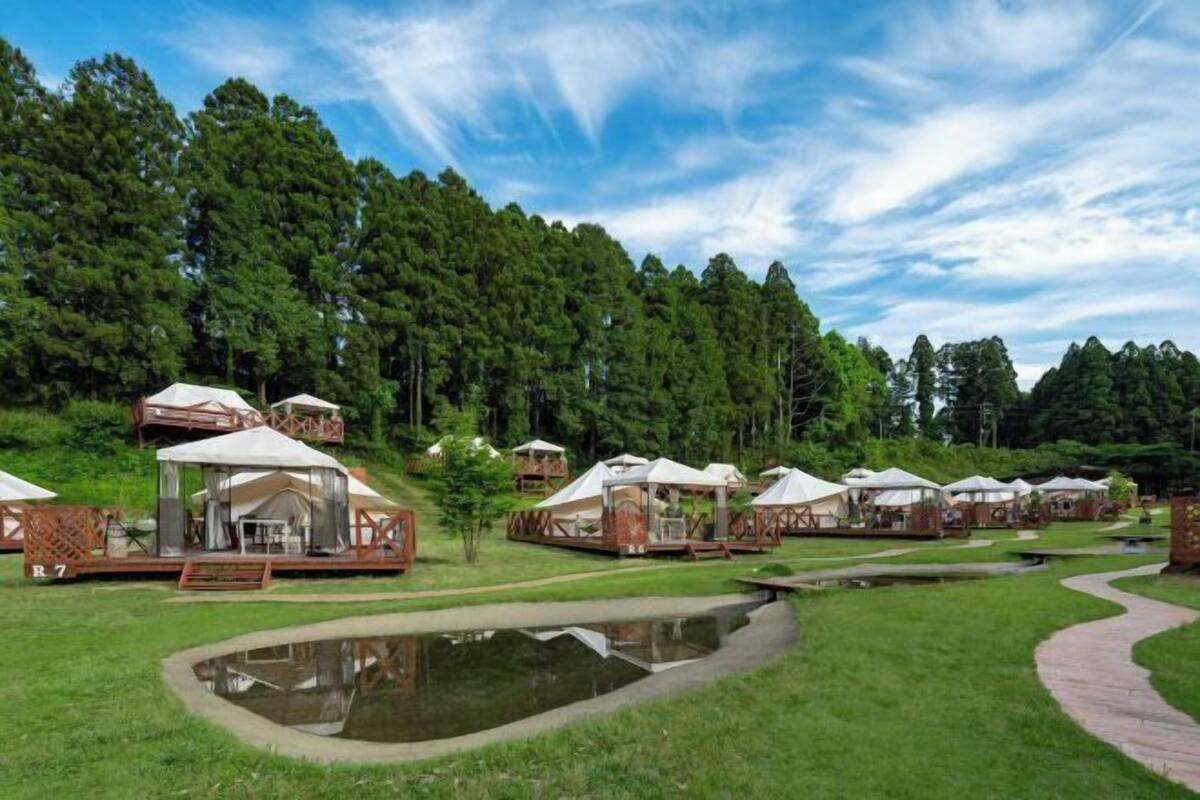 A campsite with multiple tents, a pond, and a wooden walkway.
