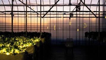 Ausstattung der Unterkunft