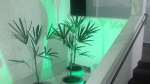 Una escalera con plantas en macetas en la barandilla.