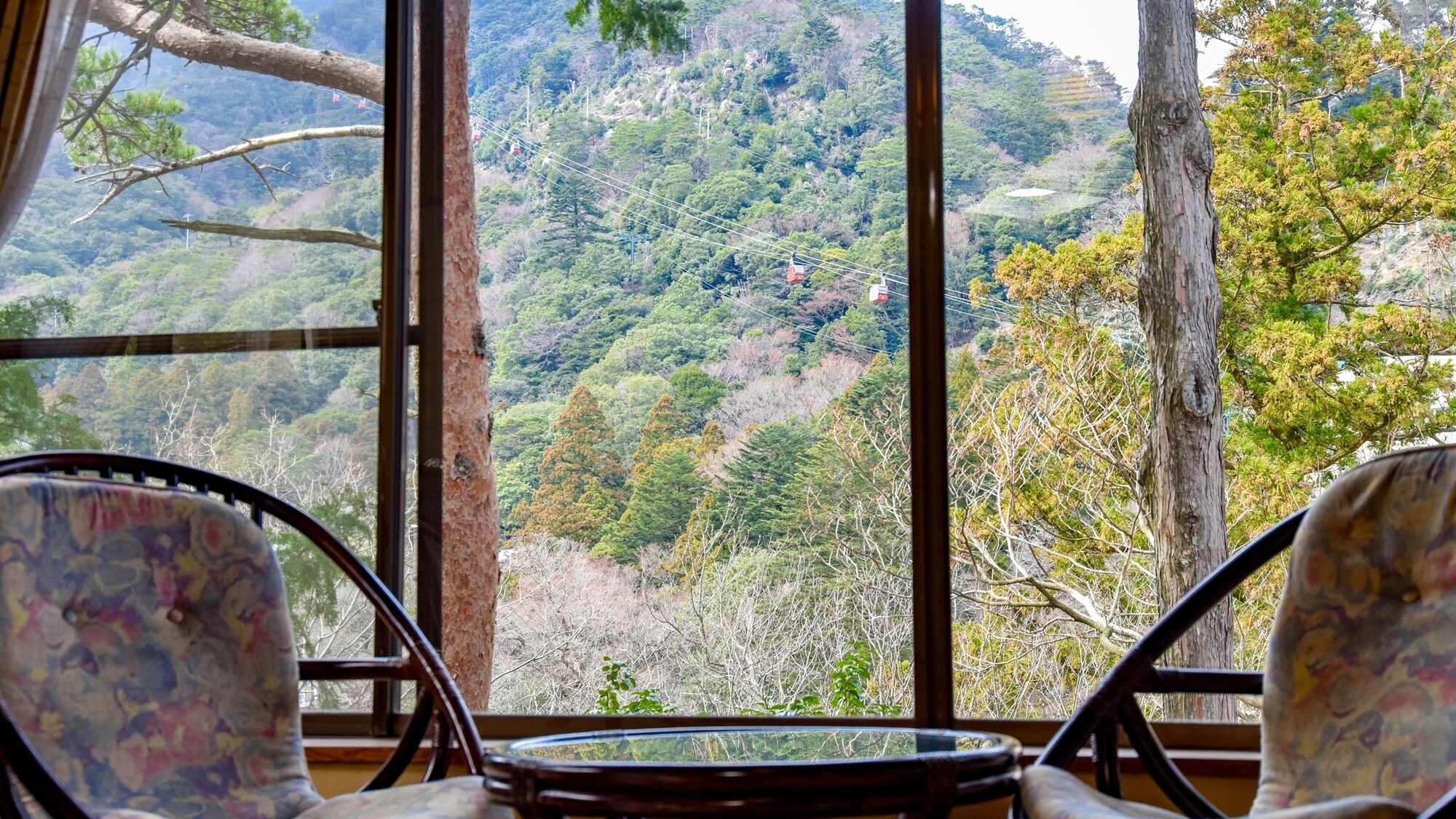 A room with a large window overlooking a forested hillside. There are two chairs with patterned upholstery.