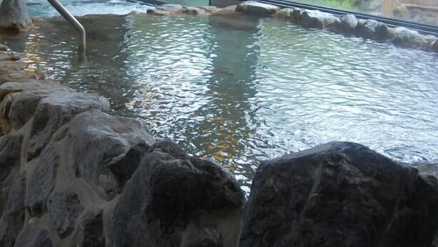 A hot spring area with a stone wall, a metal ladder, and a view of greenery outside. - Yamae Onsen Hotaru (Yamae)