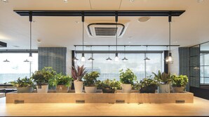 A modern kitchen with a central island, wooden chairs, and potted plants. - Super Hotel Kofu Showa Inter (Showa)