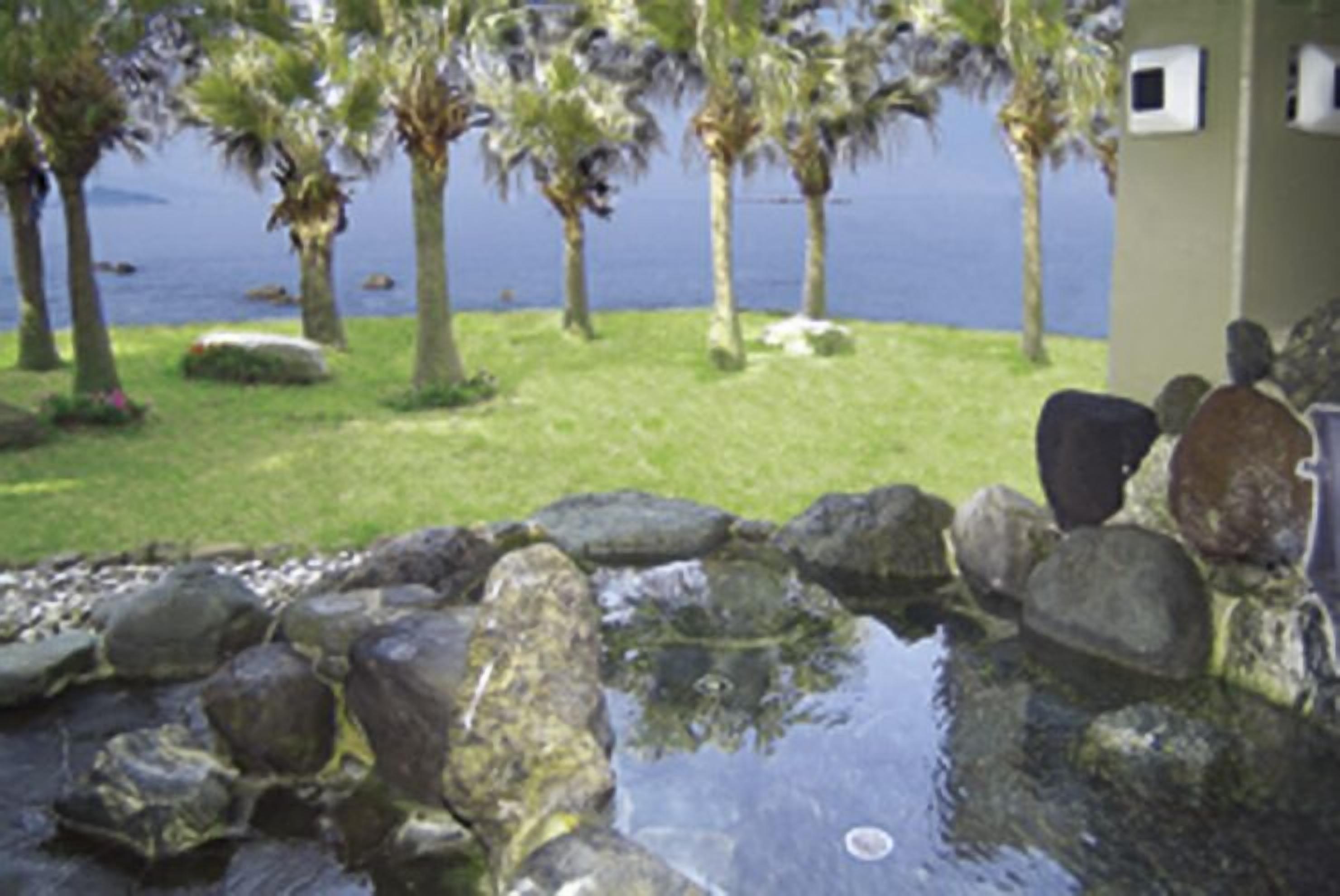 A garden with a water feature surrounded by rocks and palm trees.