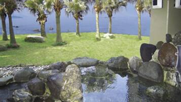 A garden with a water feature surrounded by rocks and palm trees.