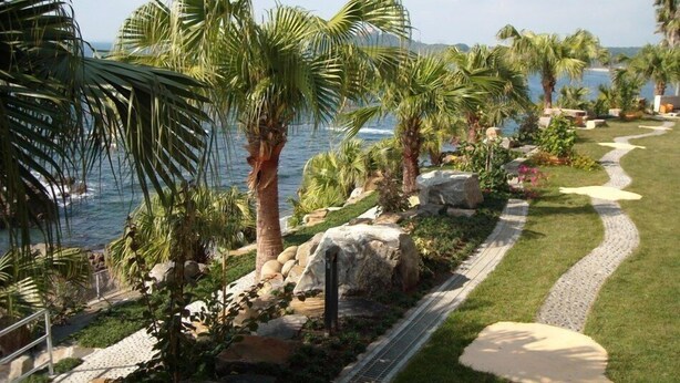 A landscaped garden with palm trees, a pathway, and a view of the sea. - Daikoku Resort Hotel (Shibushi)
