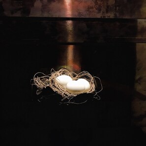 A nest with two eggs on a reflective surface. - Hakone Kuoritei (Hakone)