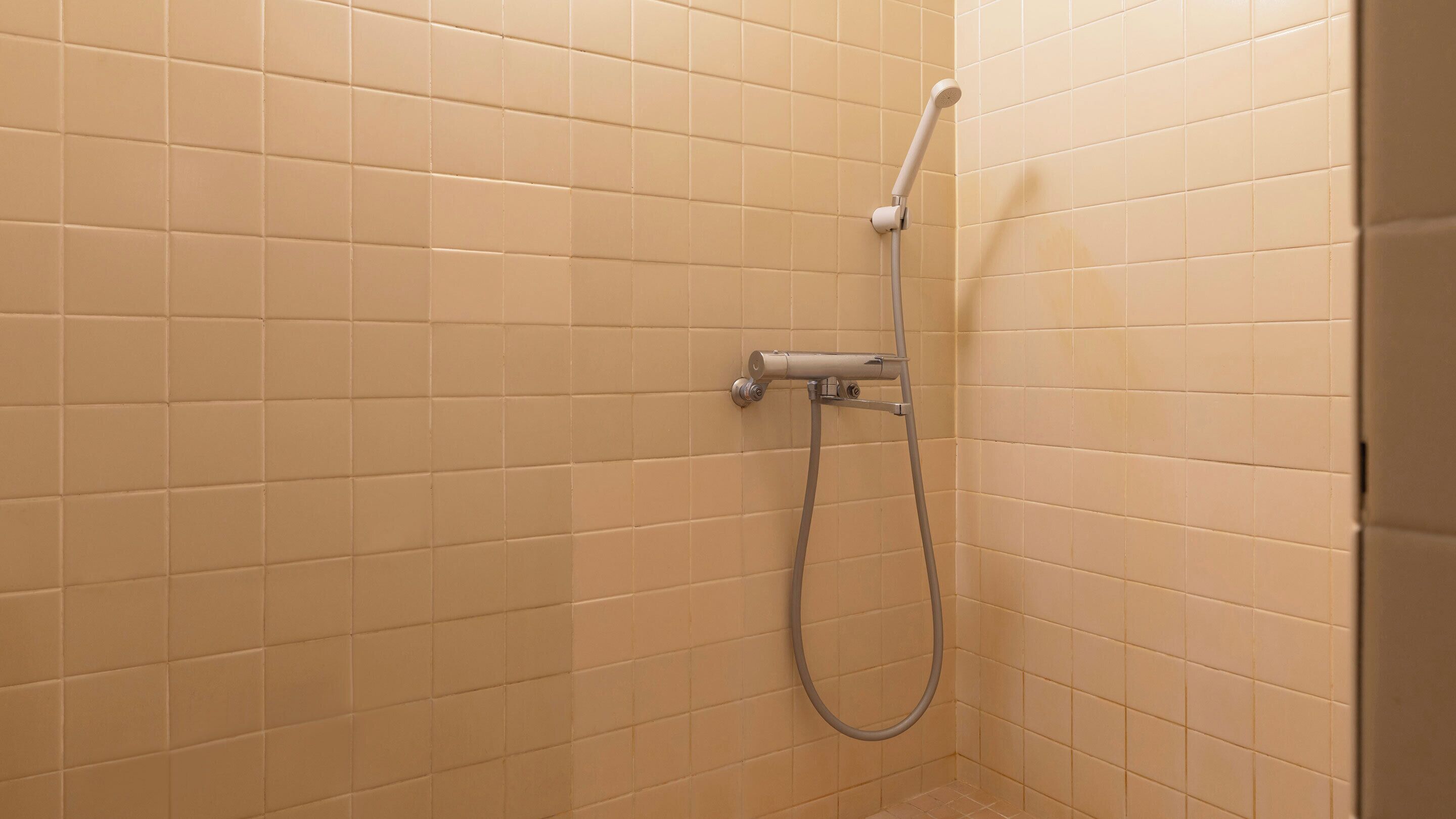 A shower with a handheld showerhead and a fixed wall-mounted faucet.