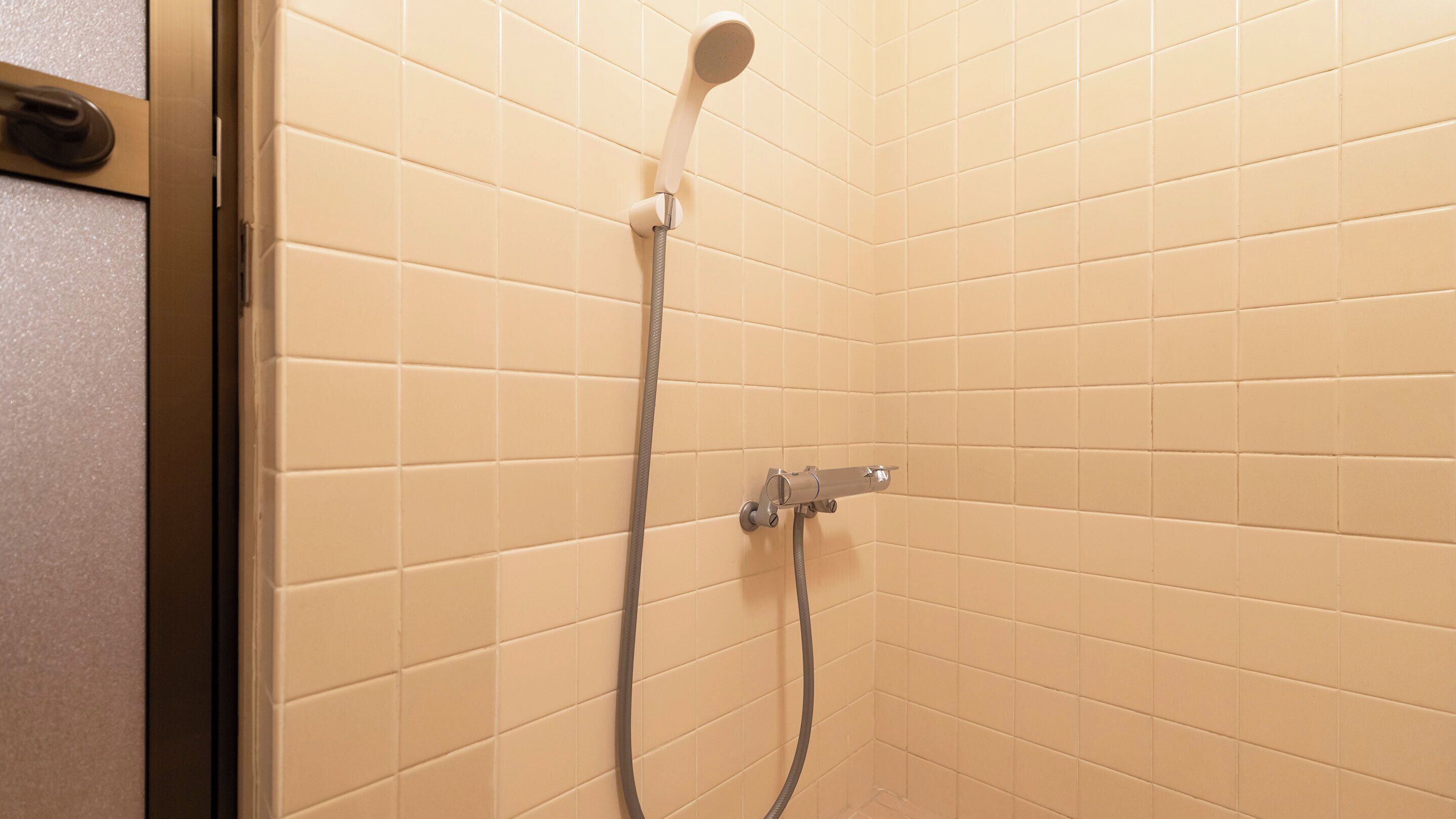 Une douche équipée d’un pommeau de douche à main et d’un robinet mural fixe.
